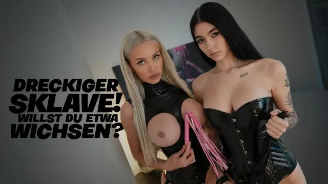 DRECKIGER SKLAVE! WILLST DU ETWA WICHSEN?