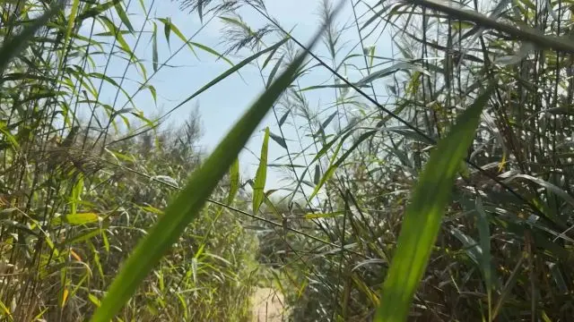 PUBLIC PISSEN! Volle Blase = harter Strahl !