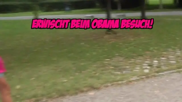 SCHOCK!!! Erwischt beim Obama Besuch!