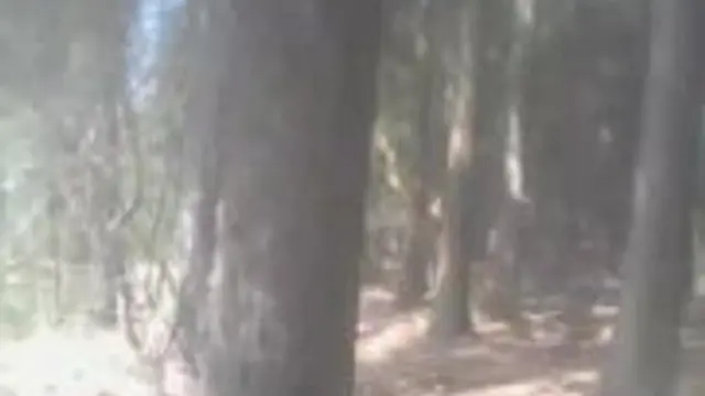 Selbstbefriedigung im Wald