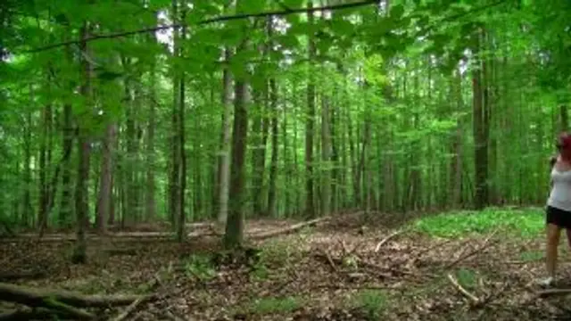 Abgepisst beim Waldspaziergang