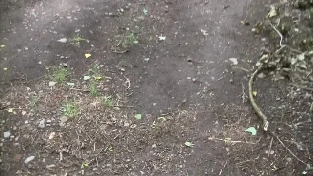 Autopanne! Fremder spritzt rein! Creampie