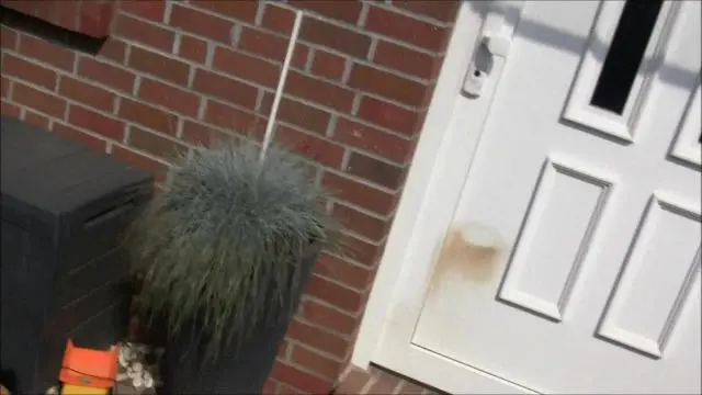 Creampie! 18j Freund von Sohn vernascht!