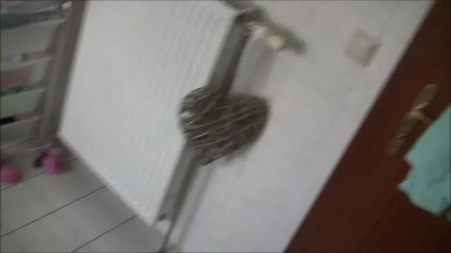 Creampie! Notgeile Freund besamt mein Loch