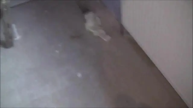 Das ist Krass ! Noch ein Azubi