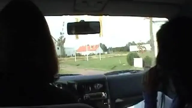 Pussybus Brandenburg