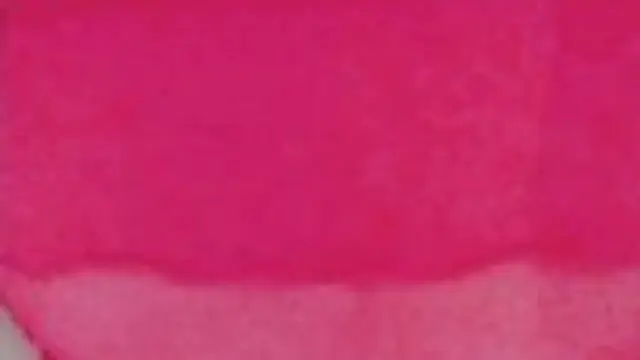 Fette Sau spielt sich an den Titten und an der V****