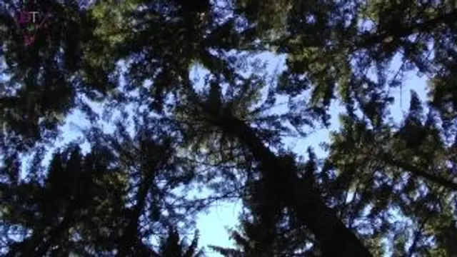 Double Penetration – Fotze doppelt gefüllt