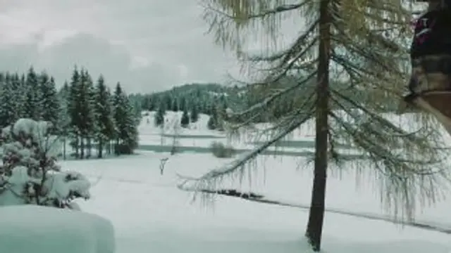 Weihnachten 2016 — Der Film