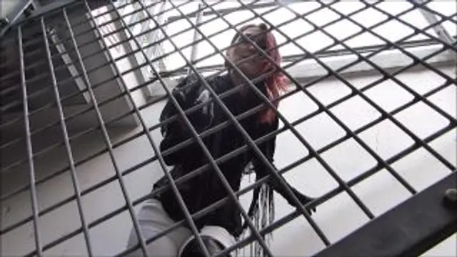 hotclip dec 2017.mp4