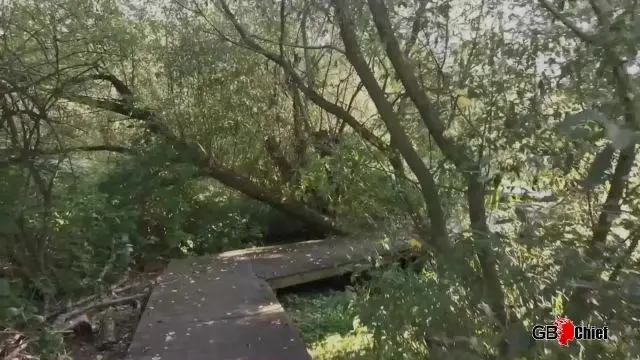 Große Titten und Sperma Luder Ashley Star