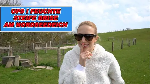 UPS! FEUCHTE STEIFE BRISE AM NORDSEEDEICH !