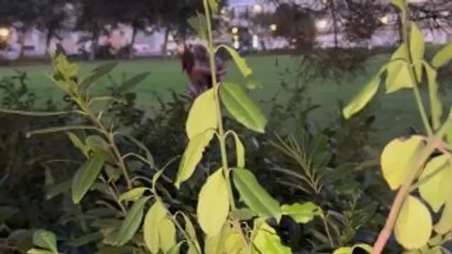 VERSAUTE LESBEN HEIMLICH AUF DER VENUS GEFILMT!!!