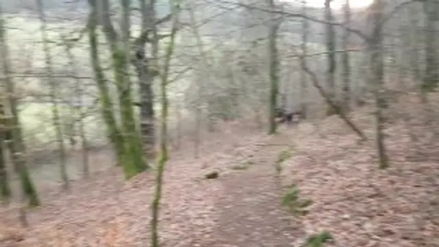 Warteliste für die Pferdebox im Top-Stall ? Nicht mit uns !!