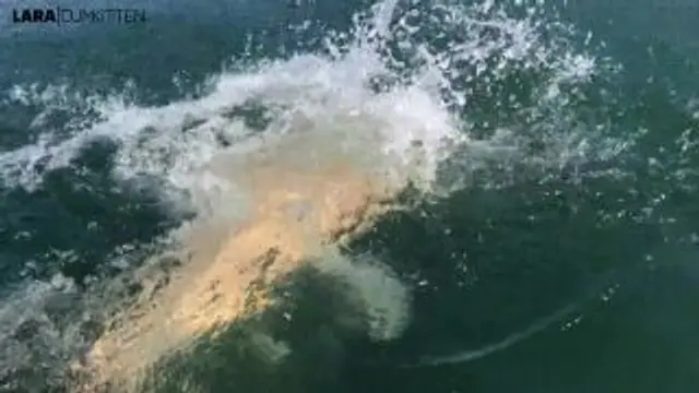 Mega CUMSHOT im Schlauchboot | Ungeschminkt und privat mit mir auf dem See