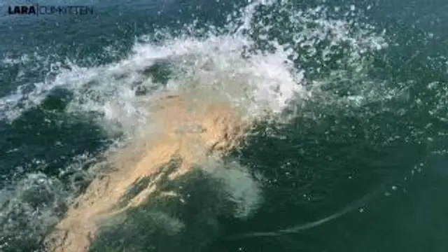 Mega CUMSHOT im Schlauchboot | Ungeschminkt und privat