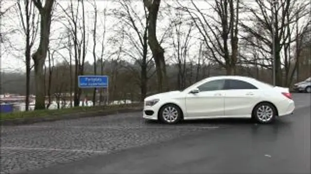 Rastplatz Quickie - Fick und Facial an der A1