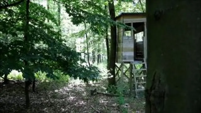 Vom Spanner auf Hochsitz ERWISCHT !!!