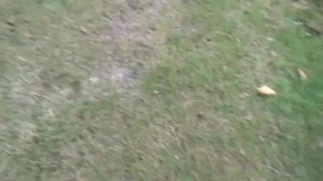 Badegast spritzt 2x hintereinander ab mitten im Freibad