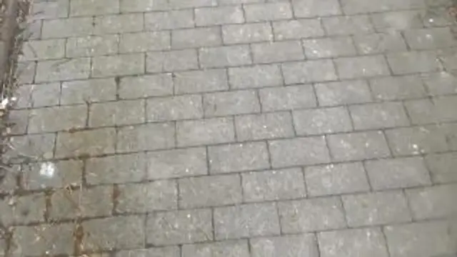 MEGAKRANK! Die PENDLER-WETTE ***