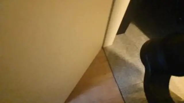 VOn dEr PutZe zUr HoBByHurE