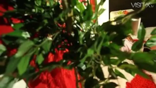 Sexy Strip (Exklusiv)