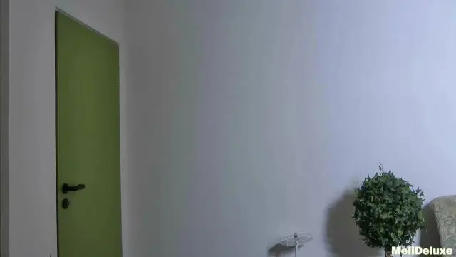 Flugpassagier fickt Stewardess