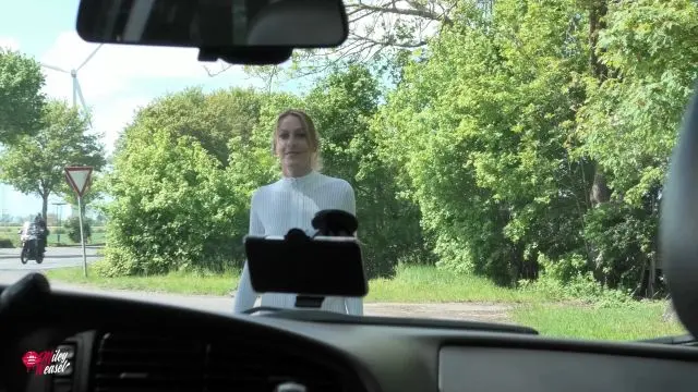 Mitfahrgelegenheit gesucht....aber erst alle Löcher ficken!!