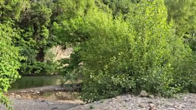 Reiten und Spermasauereien am Fluss