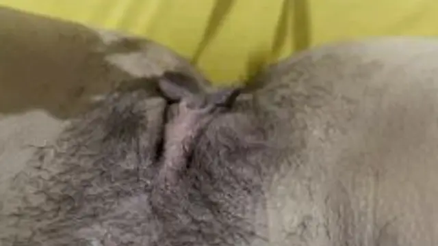 Stehst du auf haarige Fotzen?