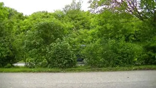 Das Monster Geschenk