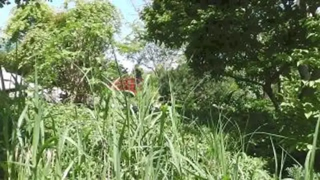 Hast Du mich beobachtet?