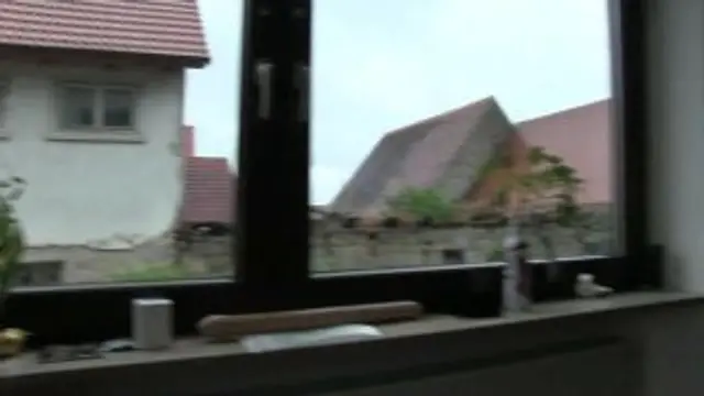 Hitachi und Glitzerplug