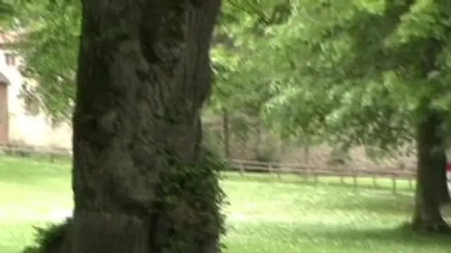 Public - Dildofick & Blowjob