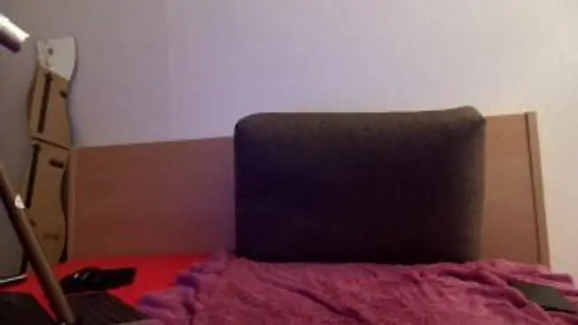 Heisse Wichsanleitung