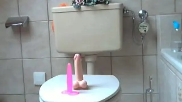 anal- und muschi-dildo-fick