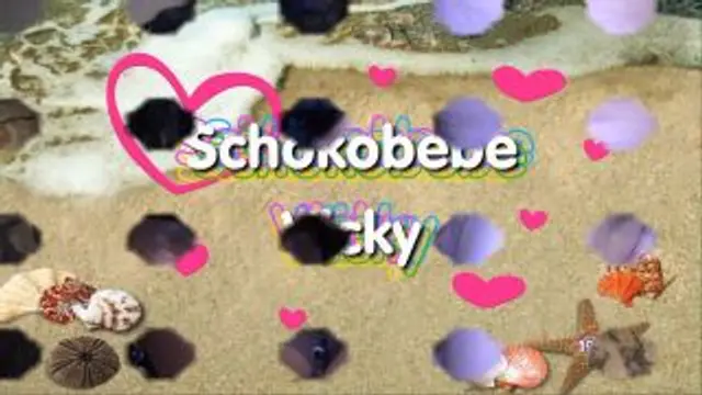 Usertreffen mit Laureen Pink und Schokobebe