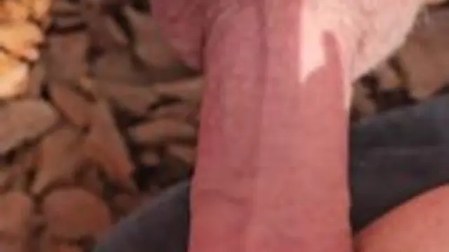 POV aufnahme Schwanz in Pussy