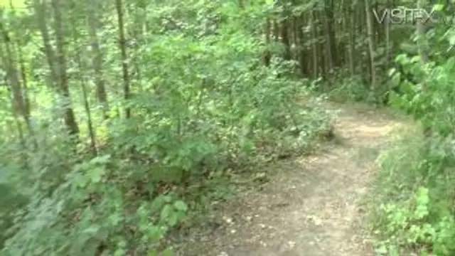 Ich mache es mir geil im Wald....