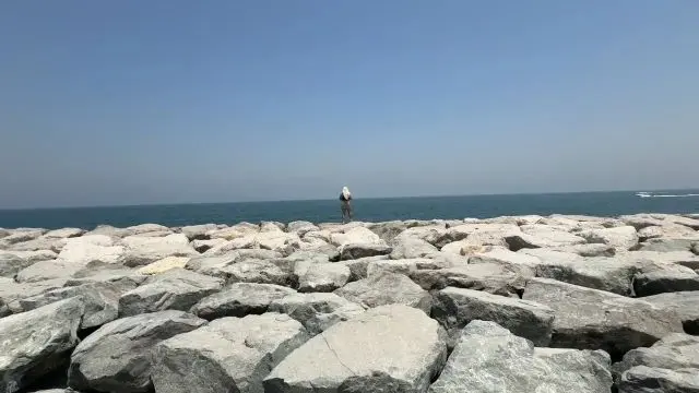 auf THE PALM gepisst | sein Schwanz schon ganz hart?