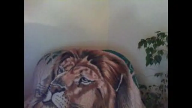 Vickys Bräunungslinien