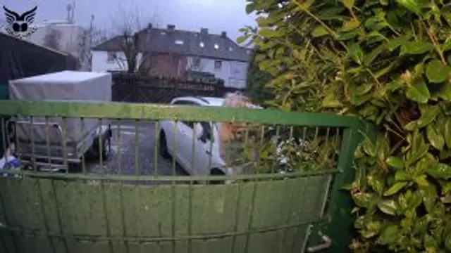 Susi und die nassen Schuhe 👞 💦😮