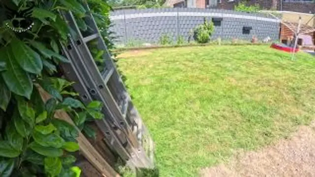 Susis spritziges Erlebnis am Pool