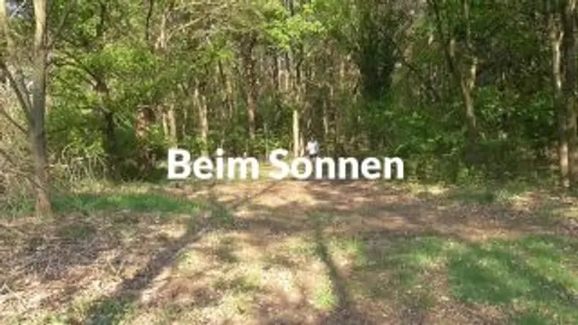Beim Sonnen im Wald
